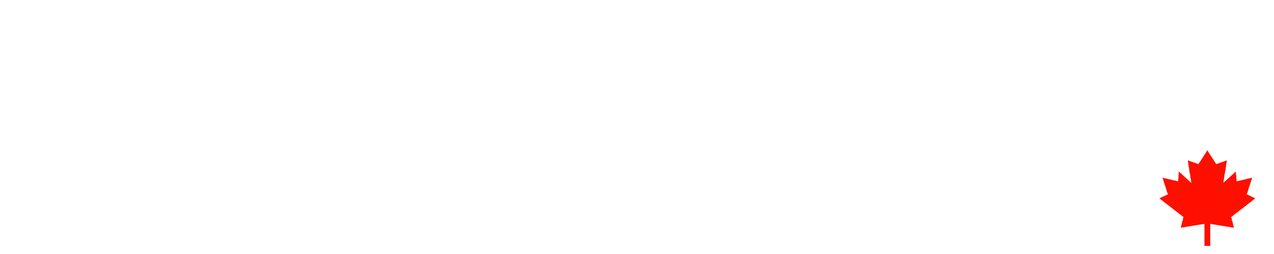 Logo Zrafted