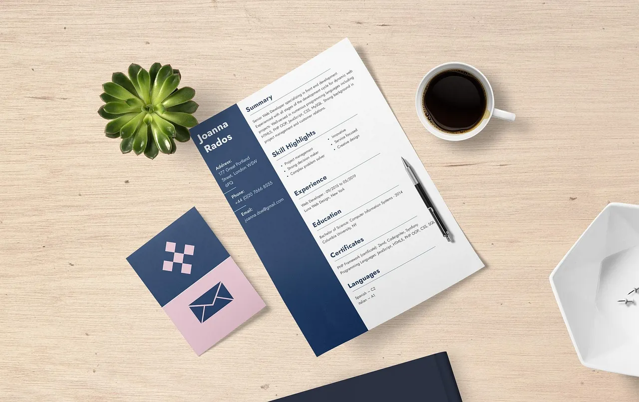 Modern resume layout