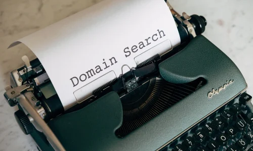Domain name search
